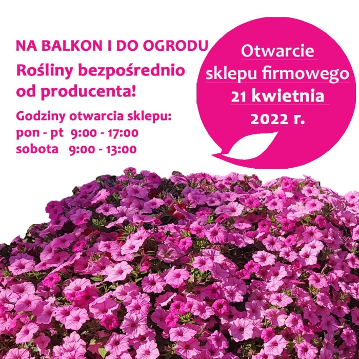 OTWARCIE SKLEPU FIRMOWEGO!