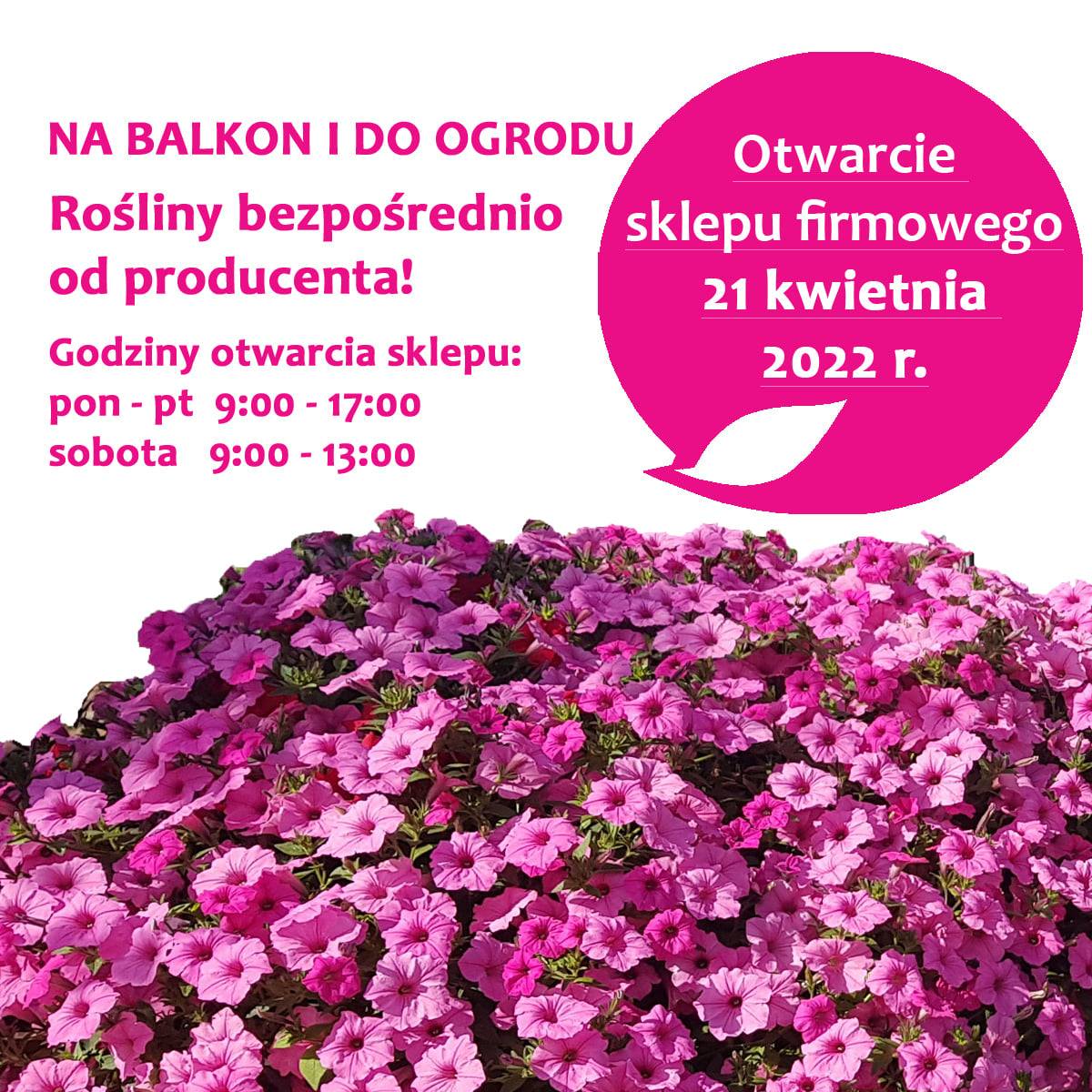 OTWARCIE SKLEPU FIRMOWEGO!