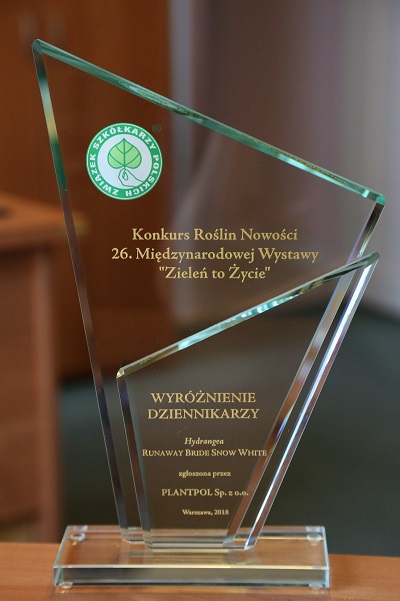 Kolejny sukces Hortensji RUNAWAY BRIDE®