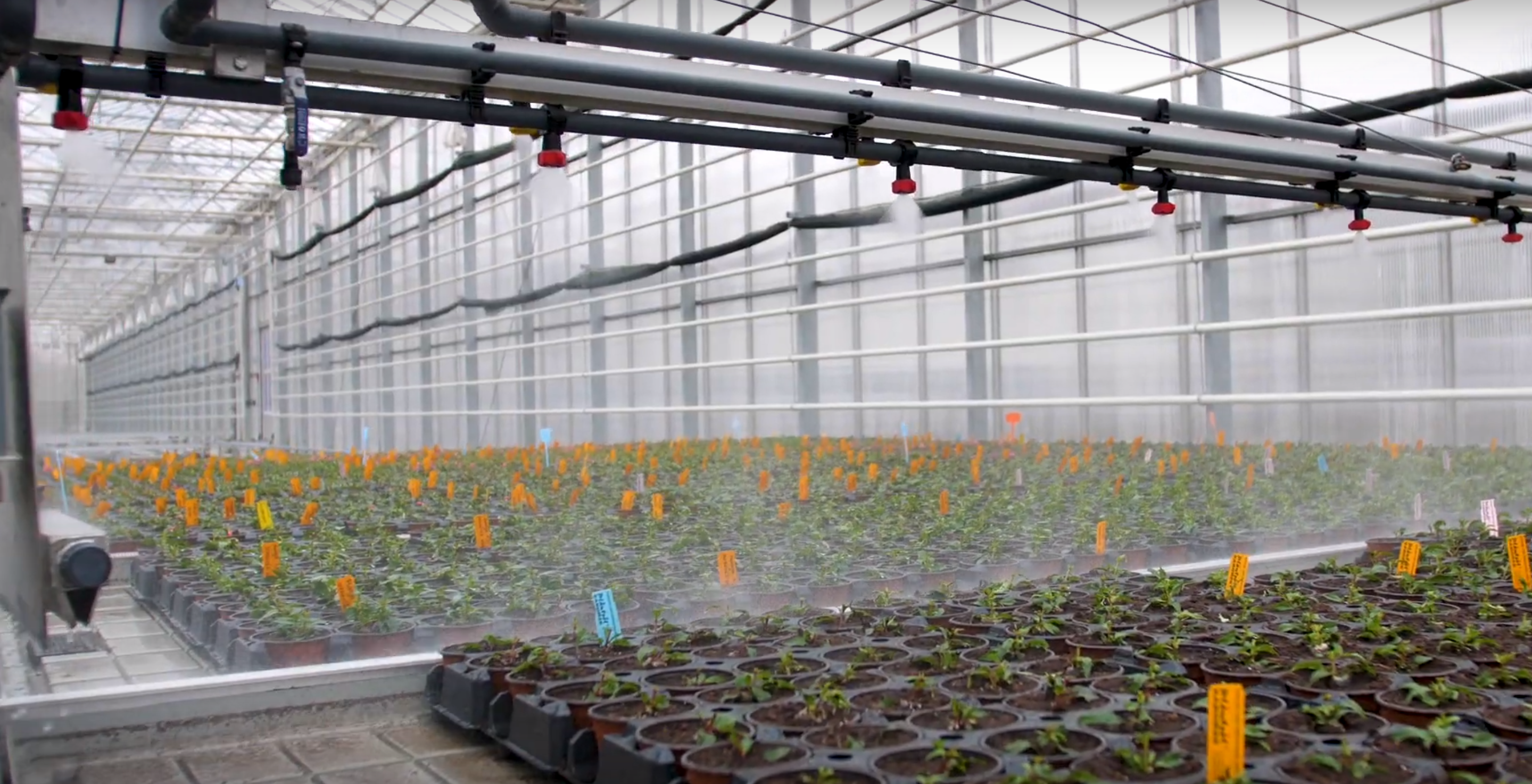 Plantpol - "OD A do Zet"