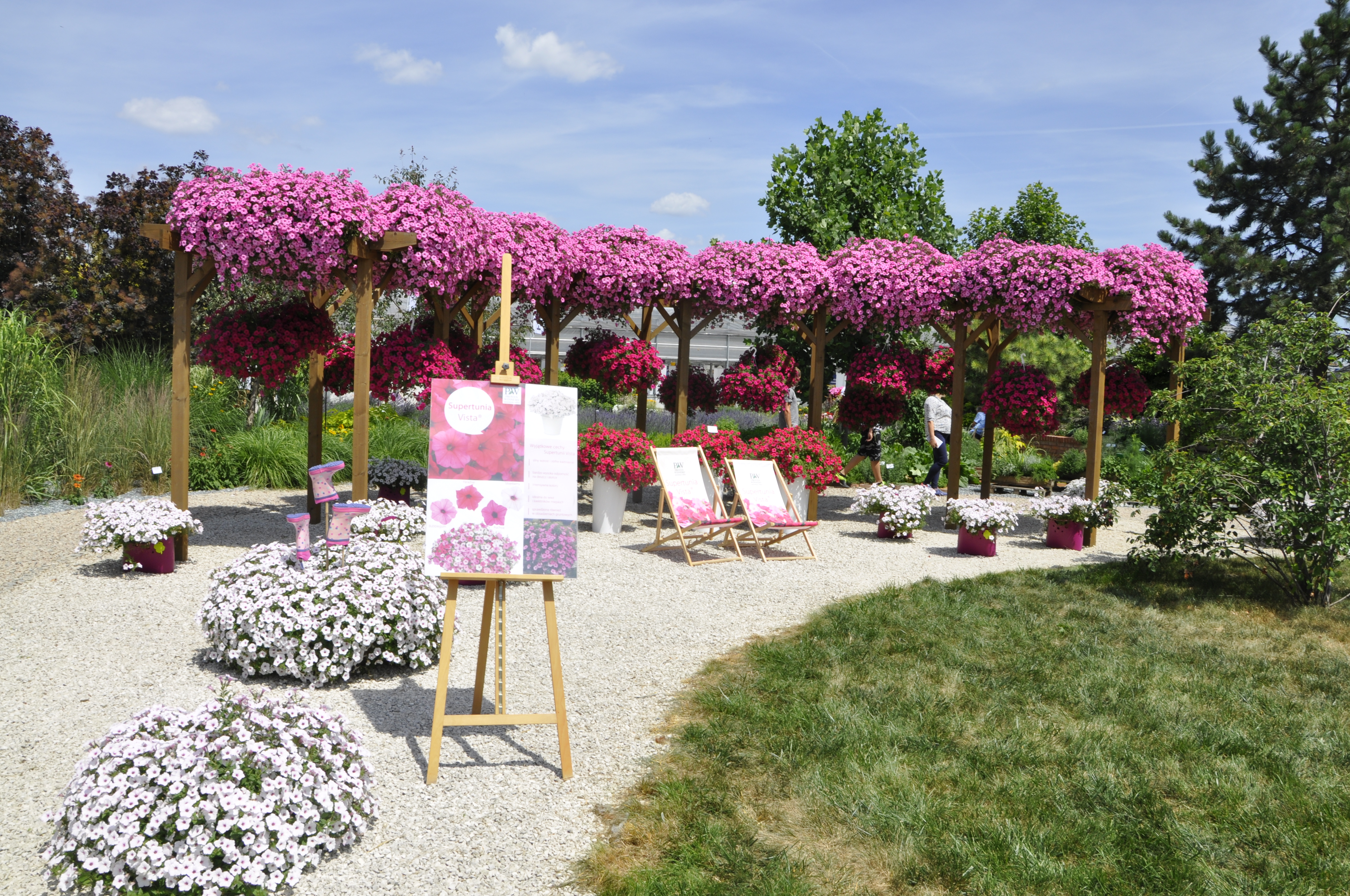 Dni otwarte 2019 (FOTORELACJA)