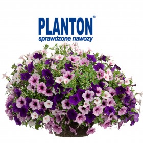 Jak prawidłowo nawozić rośliny?