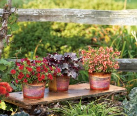 Jakiej ziemi użyć do sadzenia?