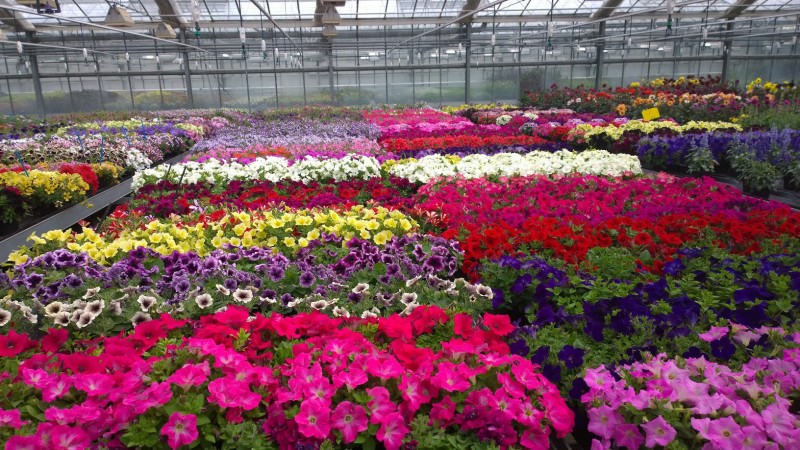 Spotkanie przedstawicieli grupy Proven Winners