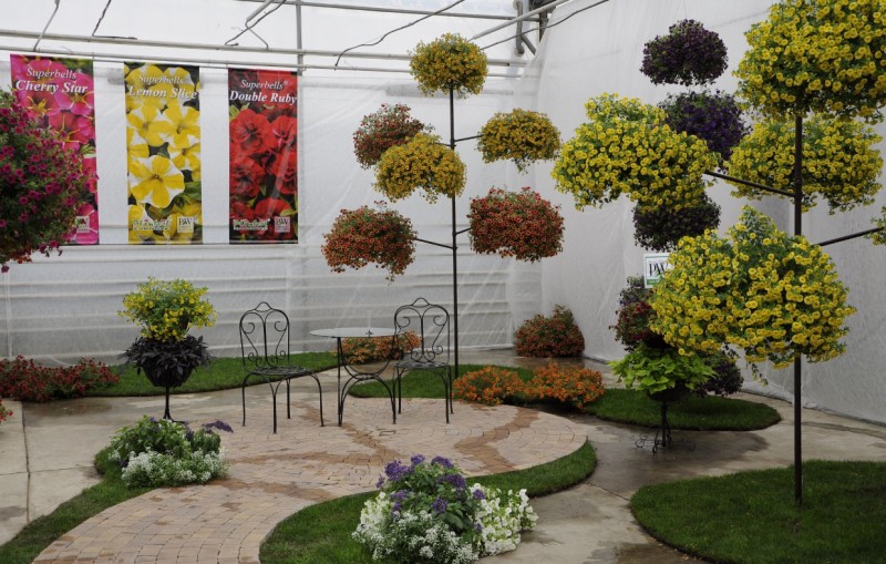 Kwiatowe nowości w programie "Maja w Ogrodzie"