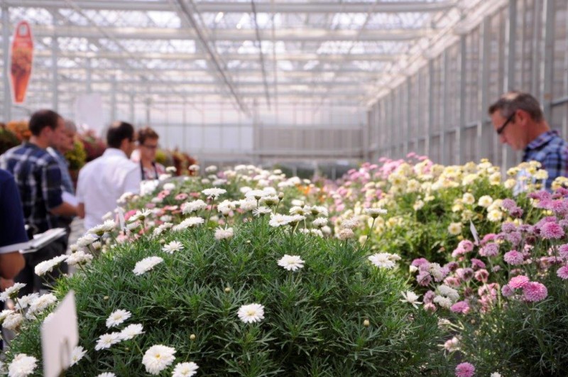 Europejskie spotkanie grupy Proven Winners