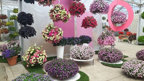 Dni Otwarte firmy Plantpol relacja