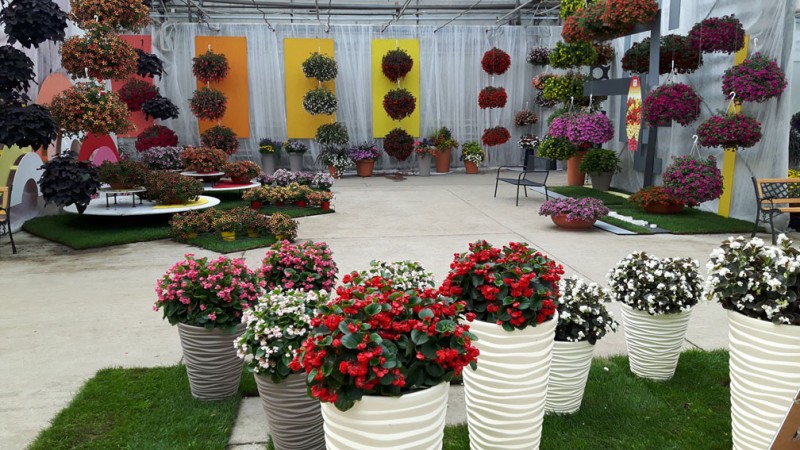 Relacja w "Pod Osłonami" z wystawy "Dni Otwarte firmy 