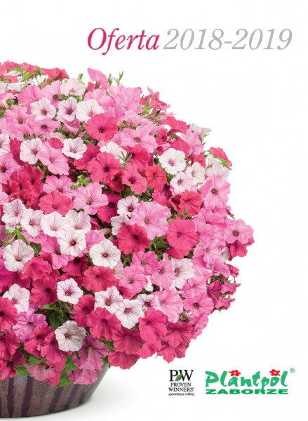 Oferta na lata 2018-2019