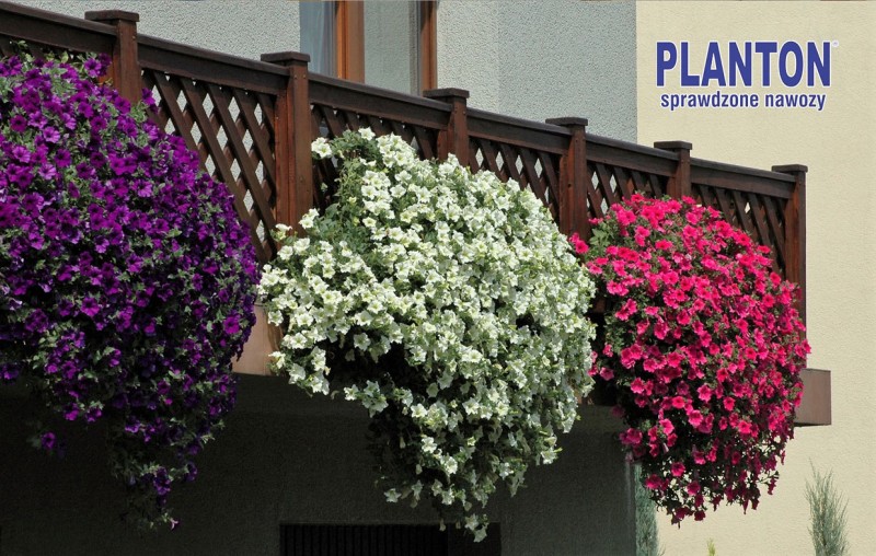 Trzymaj się tych zasad