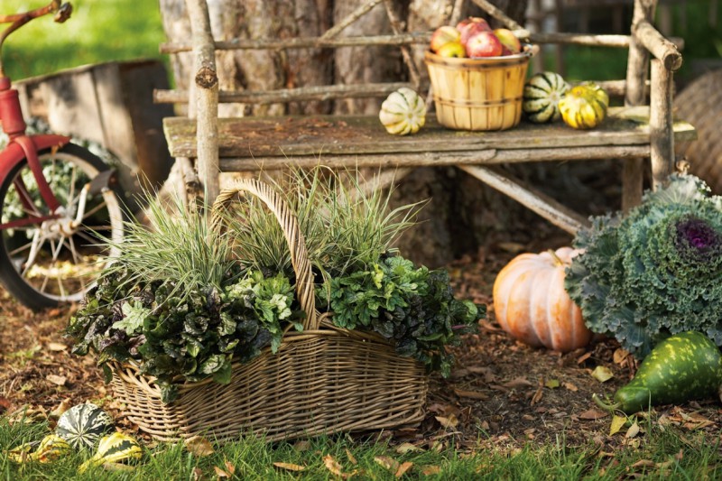 Przygotowujemy ogród do zimy