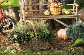 Przygotowujemy ogród do zimy