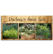 Pachnący Świat Ziół