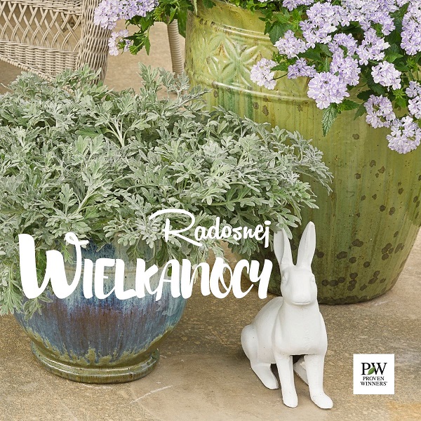 Radosna Wielkanoc Plantpol Proven Winners